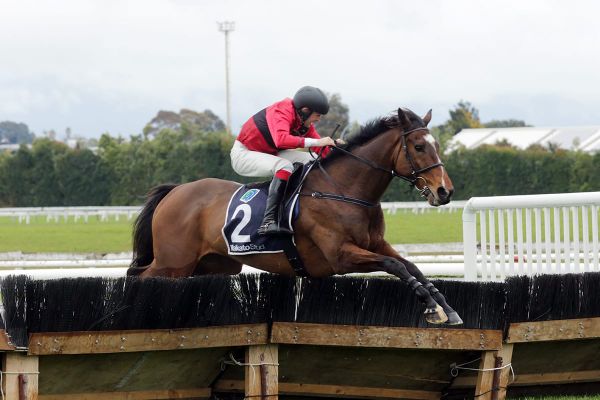 Taika on top in Pakuranga Hurdle