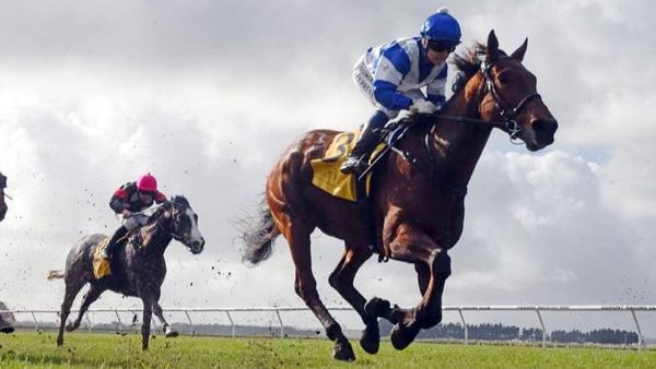 Tanner prepared to cash in again at New Plymouth