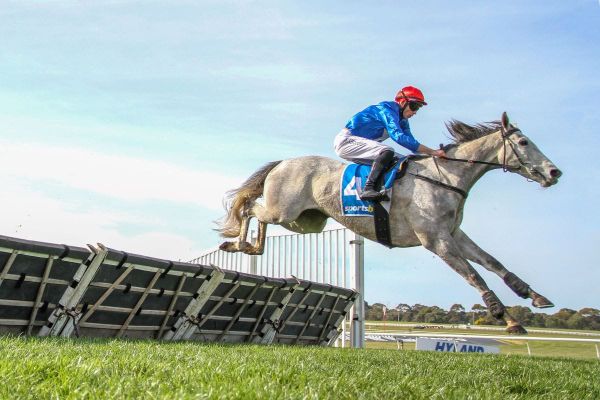 Cunning jumper shines