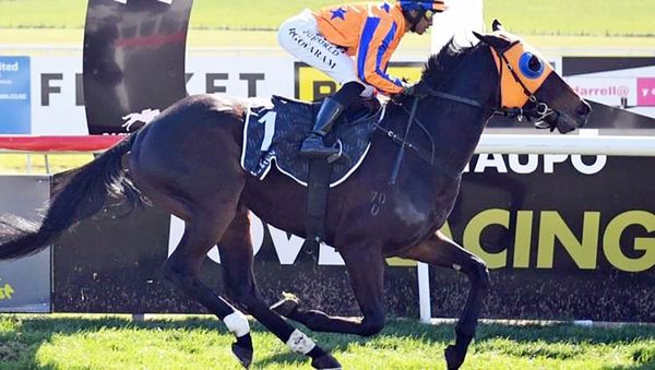 Te Akau collect a decisive double at Taupo