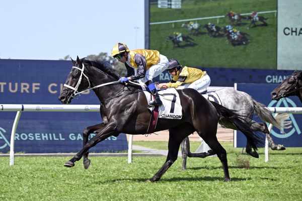 Unusual Legacy takes big step towards Metropolitan