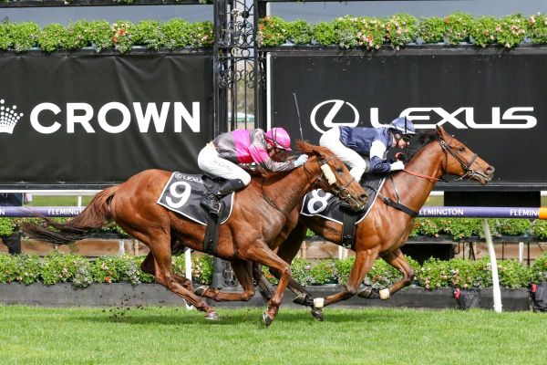 Jack to be aimed at new Cup