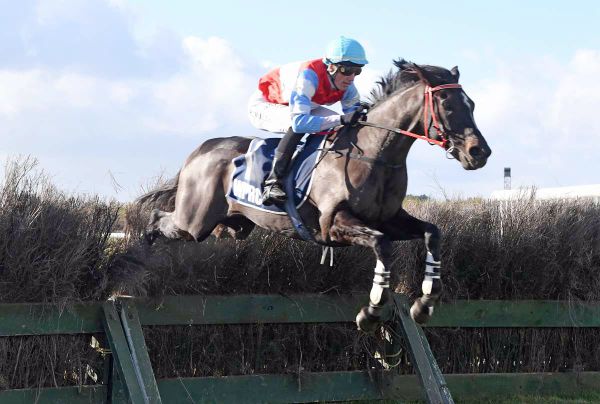 Great Northern duo to cap big week for Brosnan