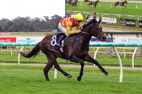 Aussie trainers chasing a NZB Kiwi slot