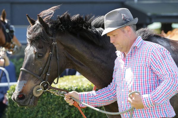 Chase impresses with another Group placing