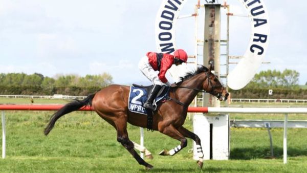 Dictation finishes with a flourish at Woodville