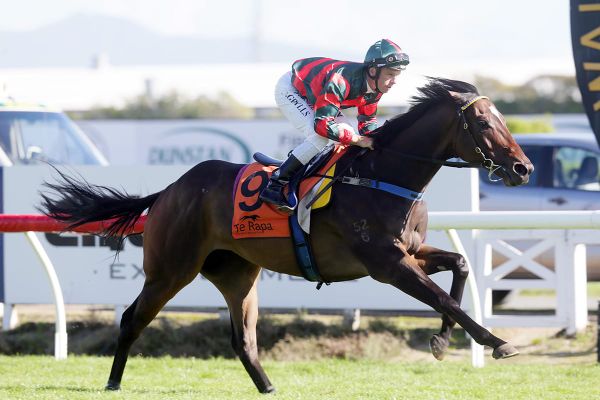 Starry filly set to carry on partnership’s winning roll