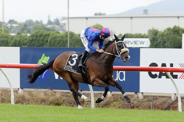 El Vencedor primed for an Arrowfield assault
