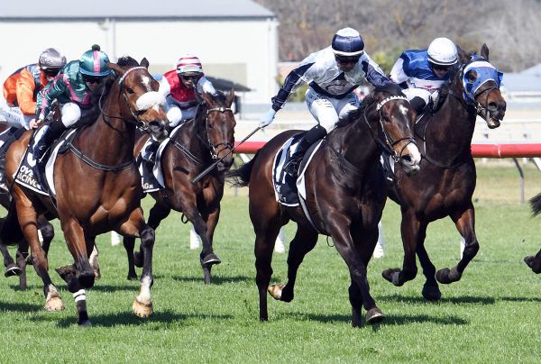 Farravallo heads Bergerson quinella at Wanganui