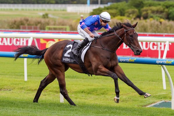 Sutton pair on for Guineas trial