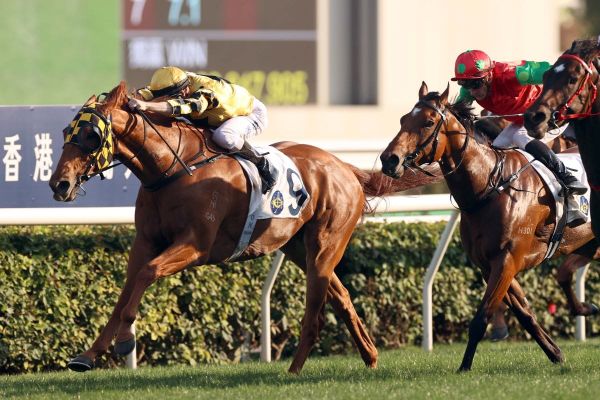 David Hall hopes Flying Ace can open Hong Kong season in style