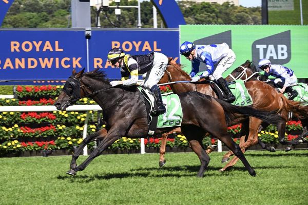 Charlton hoping to avoid top mares with Good Banter