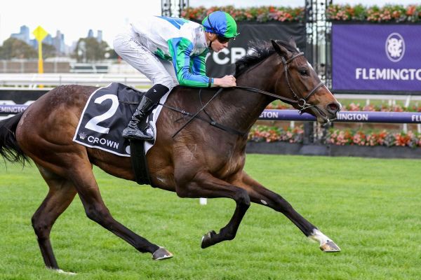 O'Brien filly in a Hurry