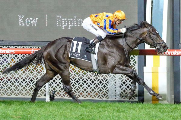 Star mare Imperatriz crowned Horse of the Year