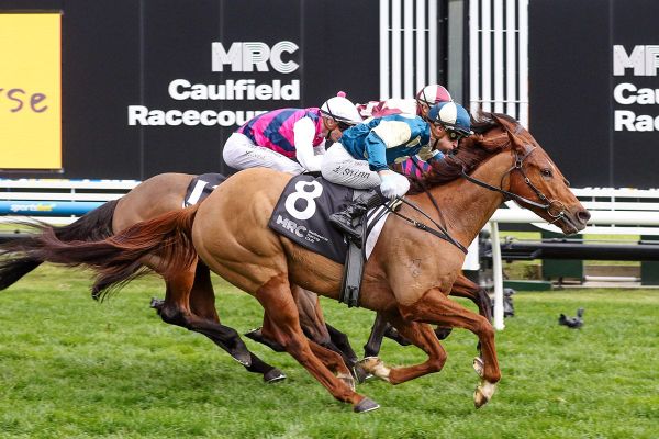 Jimmysstar back on song at Caulfield