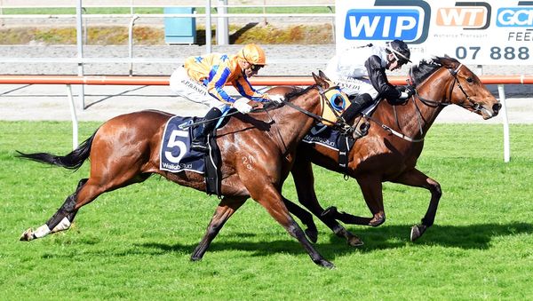 Early misfortune is no barrier for Lux Libertas