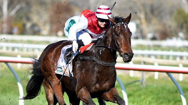 Stablemates are out to boost Group One hopes