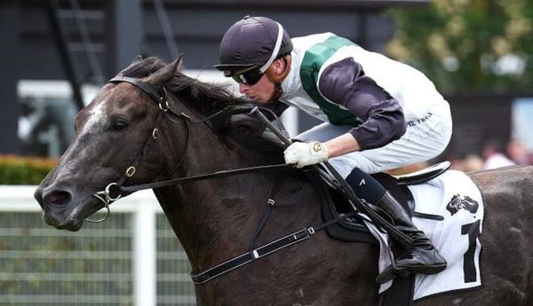 Blue Diamond winner is retired