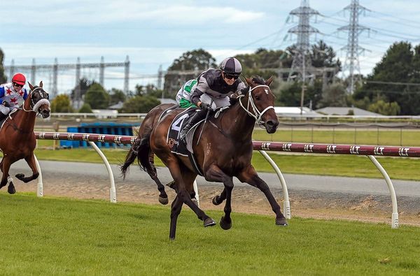 Oamaru kick-off for New Zealand Cup contender Lochnaberry