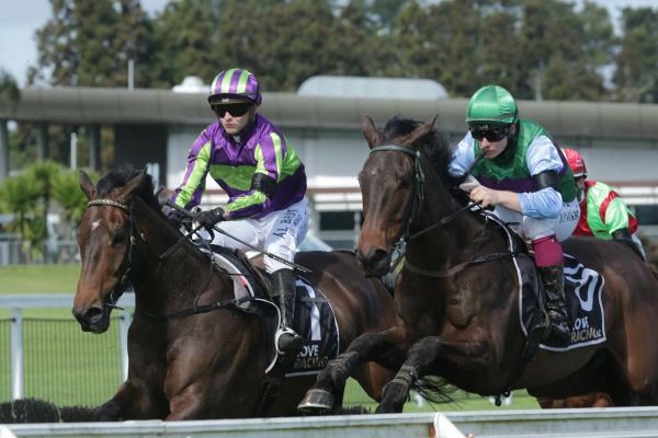 Lord Spencer storms home for Great Northern Hurdle upset