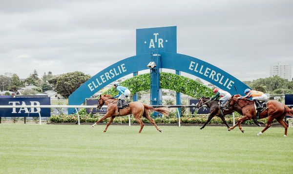 World Pool coming to New Zealand