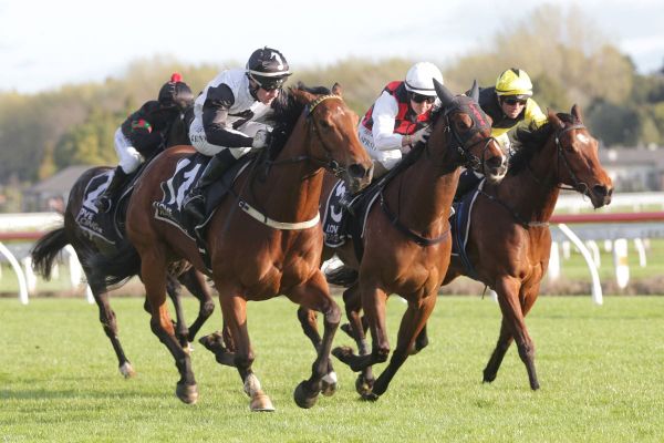 Four-straight for Lux Libertas