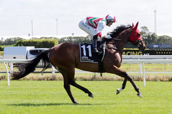 Group One opportunity for Lawson-Carroll at Hastings