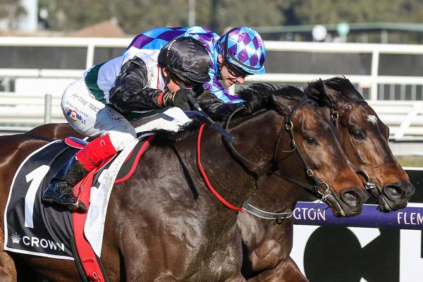 Kiwi-bred duo hold Lindsay Park’s Cox Plate hopes