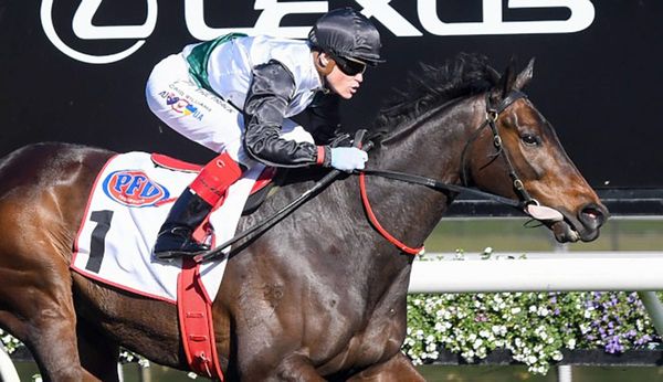 Mile beckons for Mr Brightside