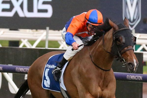 Grinzinger Belle runs rivals ragged in Let’s Elope