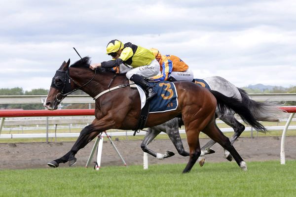 Bold pairing on target for Arrowfield
