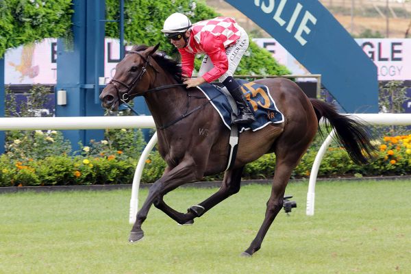 Orchestral taking on Empire Rose