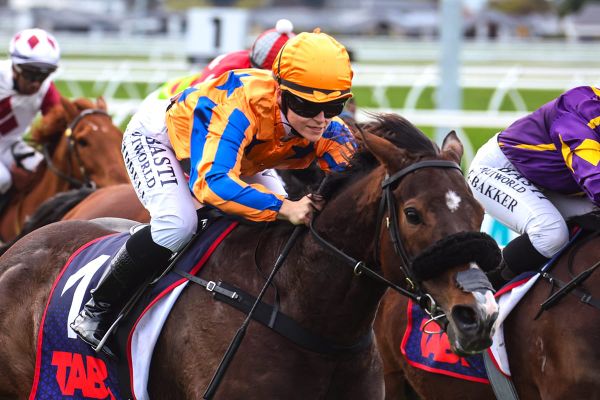 Perfect Scenario provides perfect result for Te Akau Racing