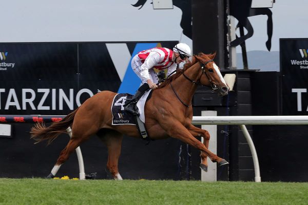 Hastings key to Poetic Champion’s immediate future