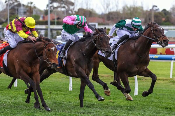 Forsman hunts for Caulfield Cup rider
