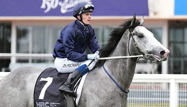 Guineas start on line for Public Attention
