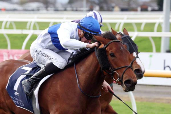 Exciting spring ahead for The Oaks Stud