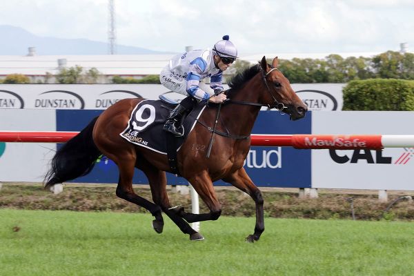 Cole building towards 3YO features with filly