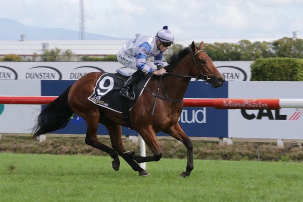 Cole finds ideal black-type option for filly