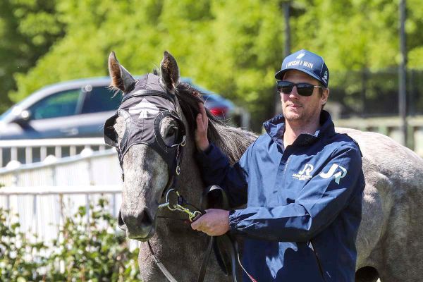Diablo Blanco primed for the Canterbury Belle