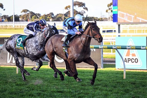 Romans are ready to fire in Adelaide