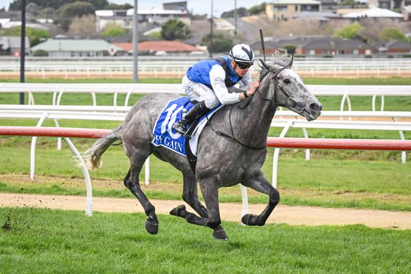 Roca and Prebble to take on HQ