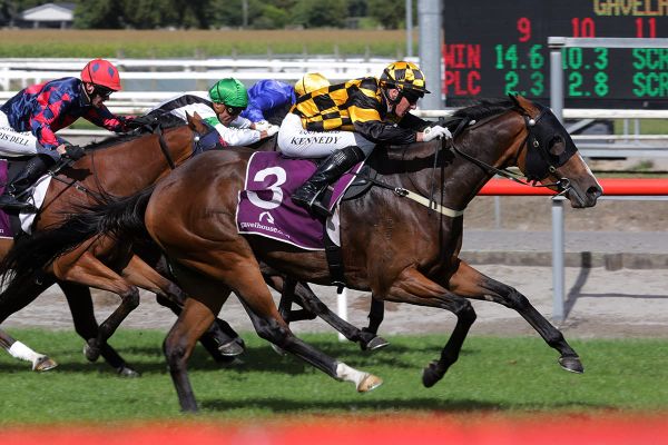 Gifted Snazzytavi out to boost a Livamol prospects