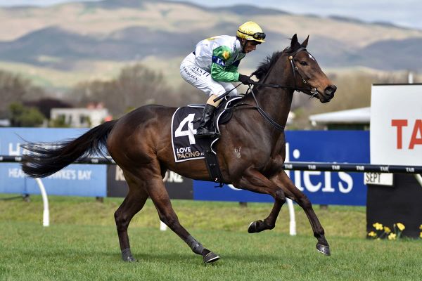 TAB NZ supporting Daffodil Day at Hastings