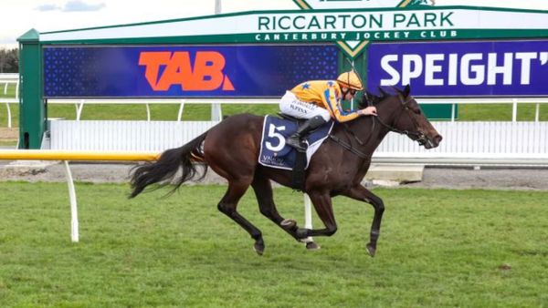 Stakes-bound filly tops Te Akau treble at Riccarton