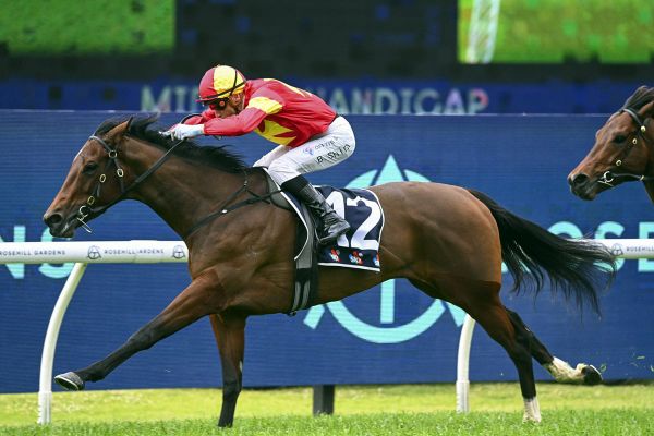 Stylish first-up win for Unique Ambition