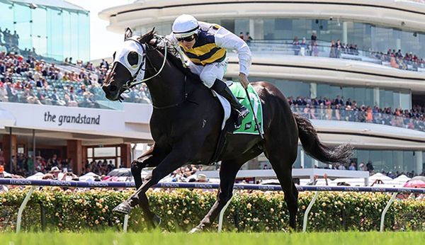 Furlong has pride in Warmonger