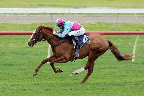 Sarten a spring finale for Whiskey ‘N Roses