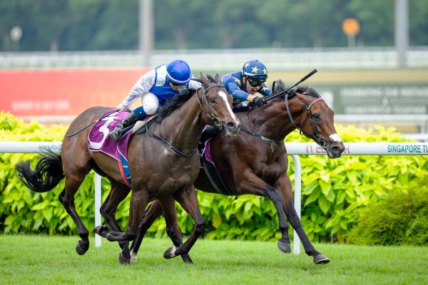 Lim's Saltoro set to kick-off at Caulfield