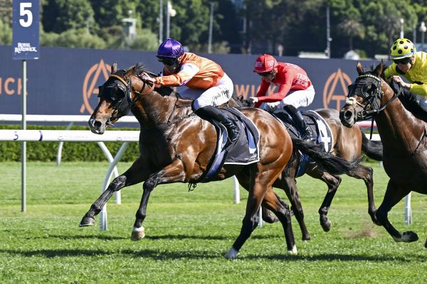 Spring Champion Stakes winner continues fine run for Cambridge Stud